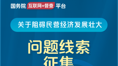 鸡巴日BB国务院“互联网+督查”平台公开征集阻碍民营经济发展壮大问题线索